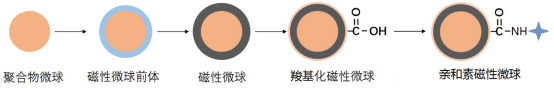 “小磁珠,大用途”东纳生物热销系列磁性微球产品 “小磁珠,大用途”东纳生物热销系列磁性微球产品