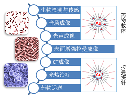 优品推荐：各种尺寸/形状的油溶性金银纳米粒子