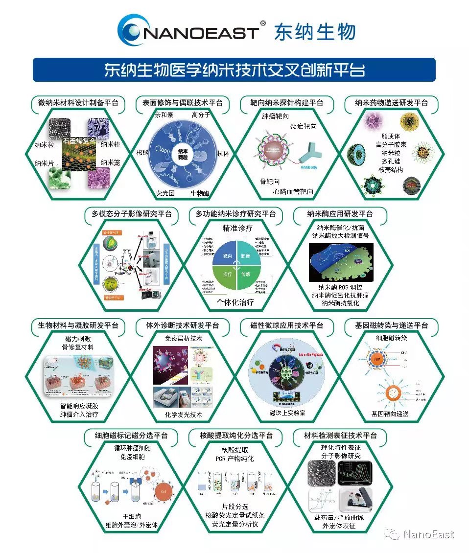 纳米科技：赋能生命科学，助力医学发展