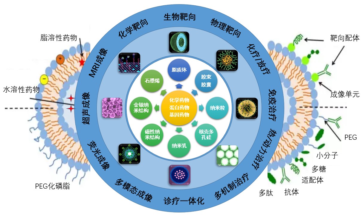 纳米科技：赋能生命科学，助力医学发展