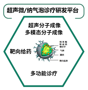 东纳生物隆重推出【超声微/纳气泡诊疗研发平台】 东纳生物隆重推出【超声微/纳气泡诊疗研发平台】