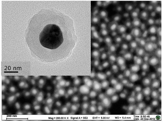 Au@SiO2核壳纳米颗粒系列- 纳米- 南京东纳生物科技有限公司