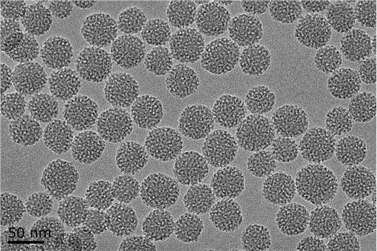 介孔二氧化硅微球--图片