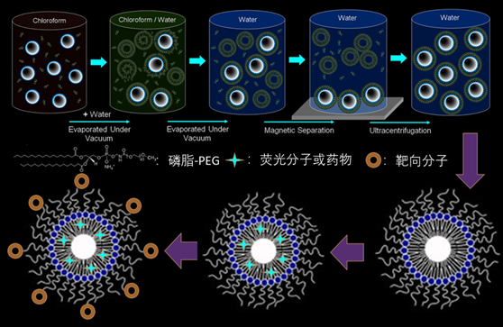 东纳生物打造八大纳米载体平台 助力纳米药物研发与创新