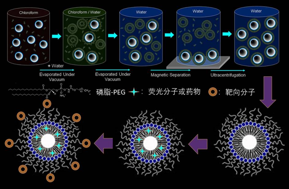 纳米定制新动态：东纳生物打造八大纳米载体平台  助力纳米药物研发与创新