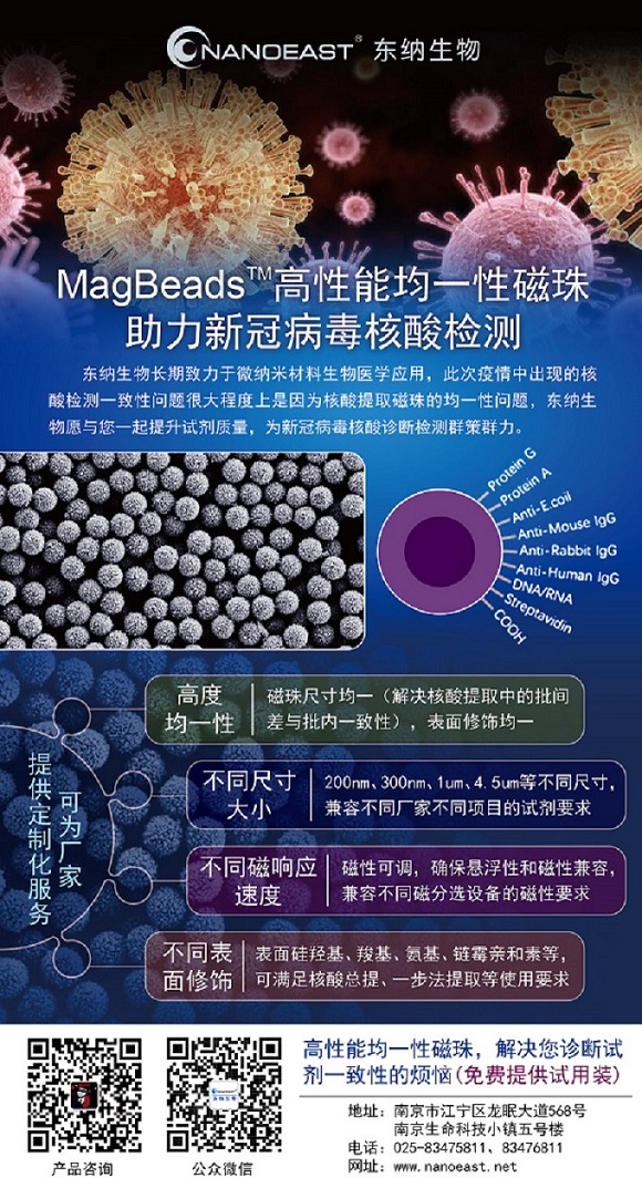 核酸分离磁珠