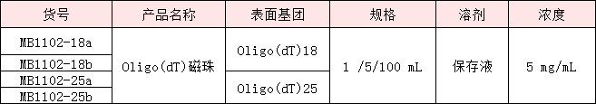 4:OligoDT磁珠