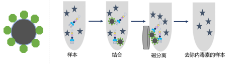 新品推荐│MagBeads®内毒素去除磁珠