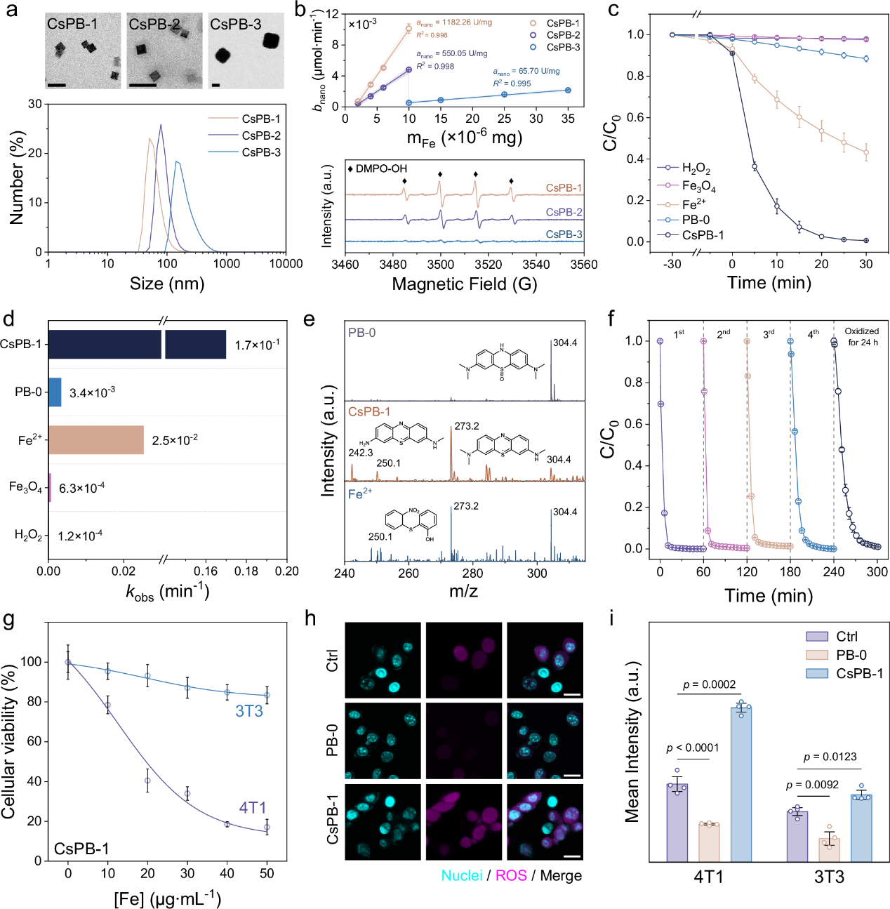 Nature Communications|东南大学张宇、马明、武昊安团队揭示配位工程调控普鲁士蓝纳米酶催化活性氧生成机制 Nature Communications|东南大学张宇、马明、武昊安团队揭示配位工程调控普鲁士蓝纳米酶催化活性氧生成机制
