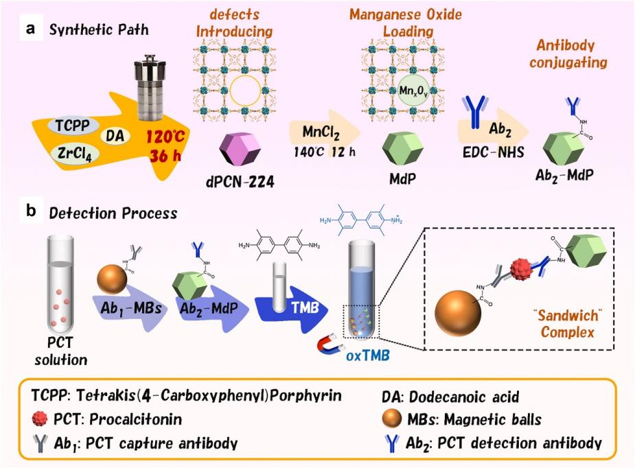 Adv. Func. Mater.‖东南大学张宇/马明/武昊安联合国家纳米中心高兴发揭示纳米酶流动化学制备及长时程催化机制