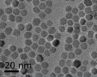 四氧化三铁/磁性纳米颗粒/磁共振造影剂