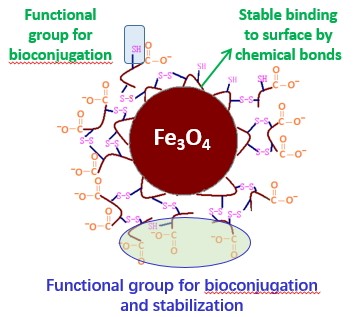 微纳米材料表面修饰服务