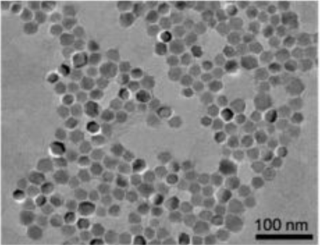 东纳生物推出细胞分选磁珠