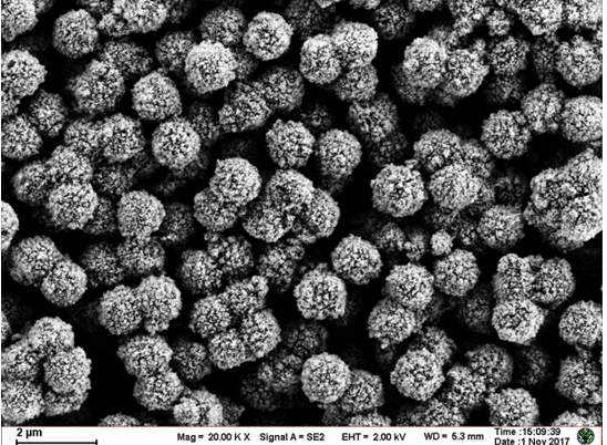 东纳生物MagBeads™ Oligo(dT)18 磁珠代替传统柱层析方法用于mRNA的快速提取和纯化
