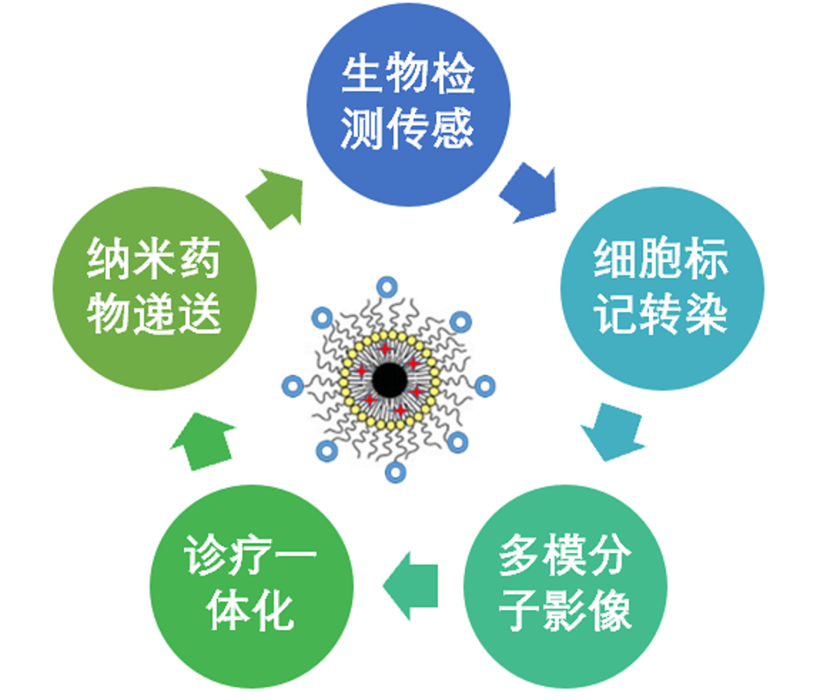 东纳生物定制服务助您创新