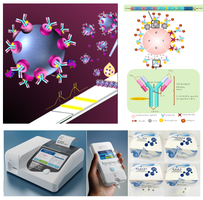 IEEE-NANO 2019收录东纳生物快速荧光定量平台  检测沙门氏菌新成果
