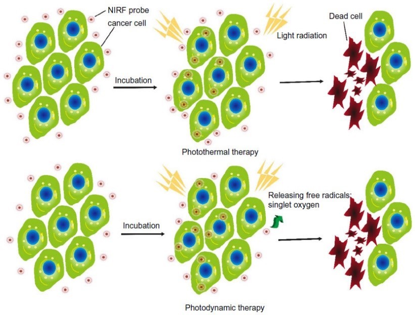 PLGA纳米载药平台系列介绍—PLGA纳米递药系统及在癌症治疗中的应用