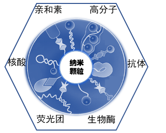 表面修饰与偶联技术平台