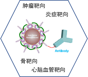 靶向纳米探针构建平台