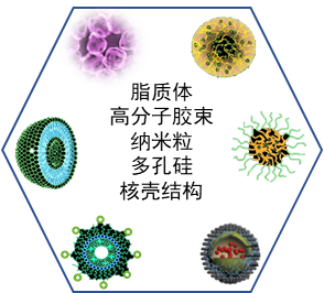 纳米药物递送研发平台