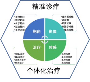 多功能纳米诊疗研究平台