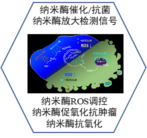 纳米酶应用研发平台