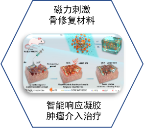 生物材料与凝胶研发平台