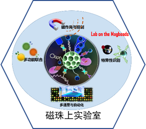 磁性微球应用技术平台