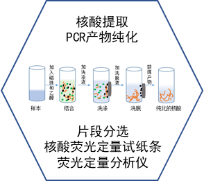 核酸提取纯化分选平台