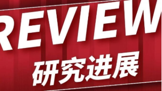 顾宁、张宇课题组「纳米酶」方向研究进展
