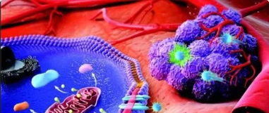 纳米技术增强美罗华单抗治疗淋巴瘤效果：多价磁性纳米探针诊疗一体化