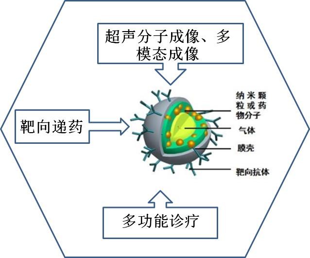 超声微/纳气泡诊疗研发平台