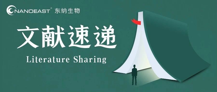 【文献速递】磁性/TAT双靶向递送艾乐替尼的纳米载体实现非小细胞肺癌治疗增效减毒