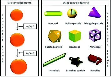 【综述】金纳米颗粒合成及其生物医学应用