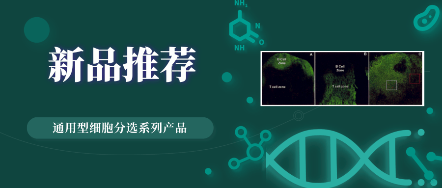 新品推荐│通用型细胞分选系列产品