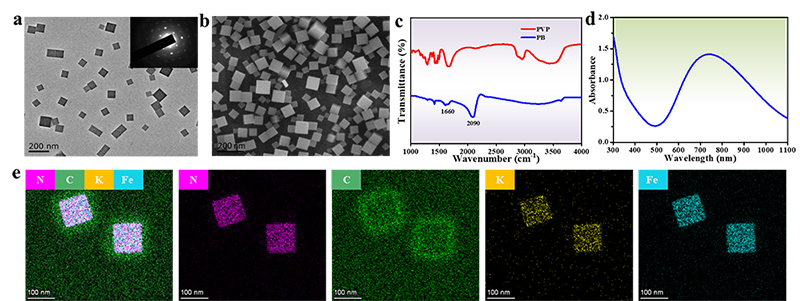 普鲁士蓝纳米酶对蒽环类抗肿瘤药物诱导肝损伤的防护作用