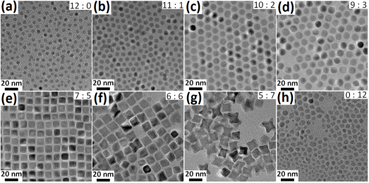 NanoEast全系列微纳米材料，助力生命科学创新与医学应用