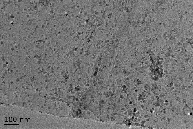 新品推荐│磁性石墨烯—药物靶向新载体