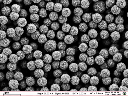 好磁珠，东纳造 | 王华梁、宋海波会长带队考察东纳磁珠产业基地