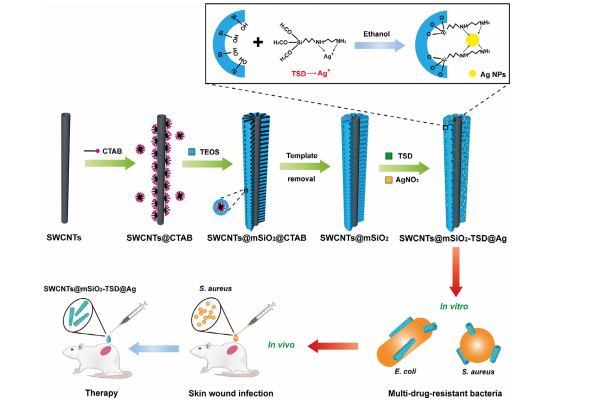 产品应用案例│银纳米颗粒装饰和介孔二氧化硅涂层单壁碳纳米管增强杀灭耐药细菌的抗菌活性
