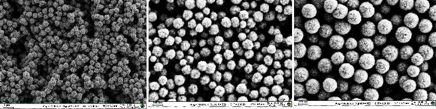 产品应用案例│东纳MagBeadsTM羧基磁珠和硅羟基磁珠在核酸提取及片段筛选中的应用