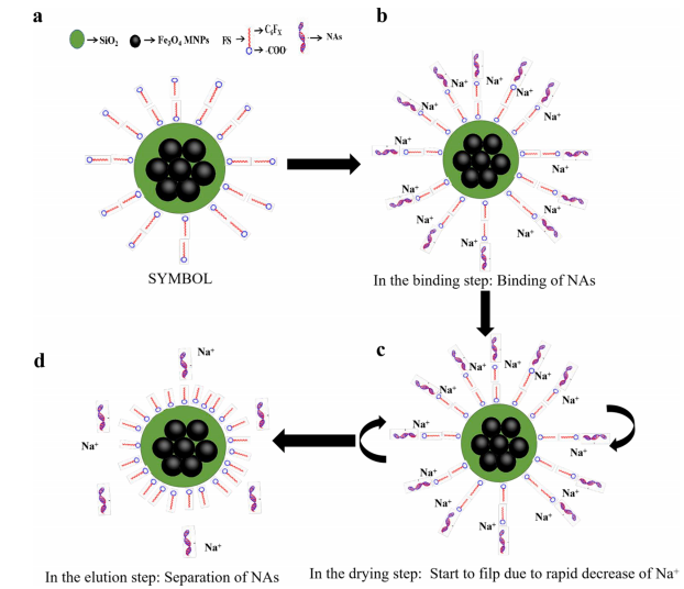 产品应用案例│可逆超疏水性翻转触发磁珠调节核酸的结合和分离进行超灵敏检测