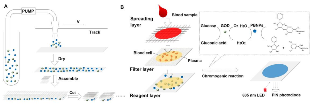 Biosens. Bioelectron.普鲁士蓝纳米酶成功用于纸基比色葡萄糖传感