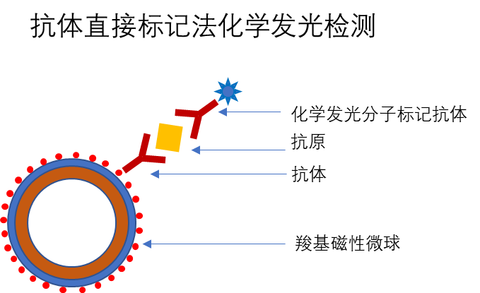 东纳生物推出“磁珠+试剂优化”综合解决方案——助推发光磁珠国产替代，赋能体外诊断行业发展