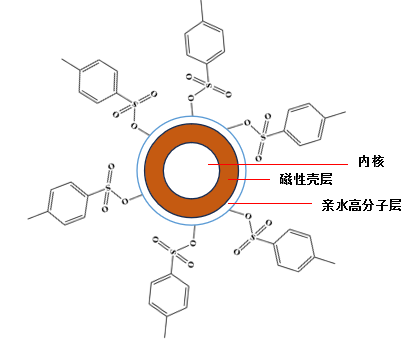 新品推荐│东纳生物1.6 μm甲苯磺酰基磁珠