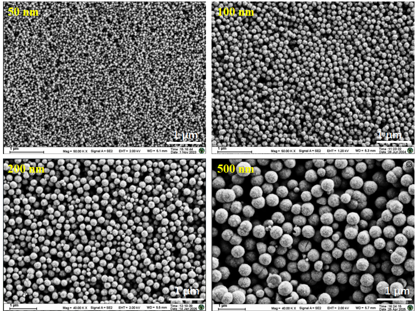 新品推荐│50-500 nm葡聚糖磁珠及链霉亲和素磁珠