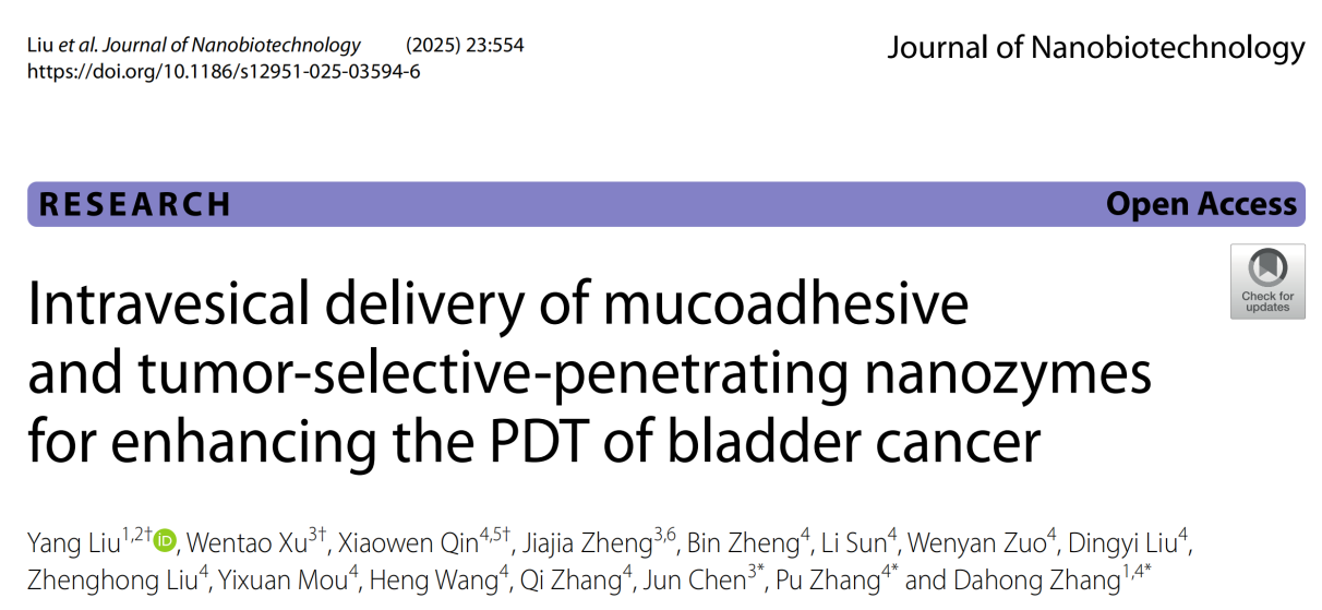 产品应用案例：膀胱内递送具黏膜黏附与肿瘤选择性穿透能力的纳米酶以增强膀胱癌的光动力治疗
