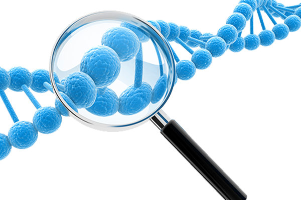 Trends in Analytical Chemistry | 东南大学张宇课题组：用于精准液体活检的胞外囊泡多维分析策略