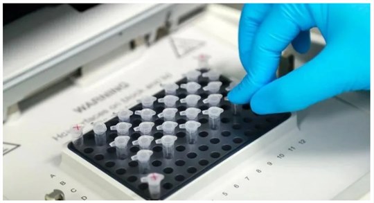 新型冠状病毒mRNA疫苗研发立项！需要这种原材料