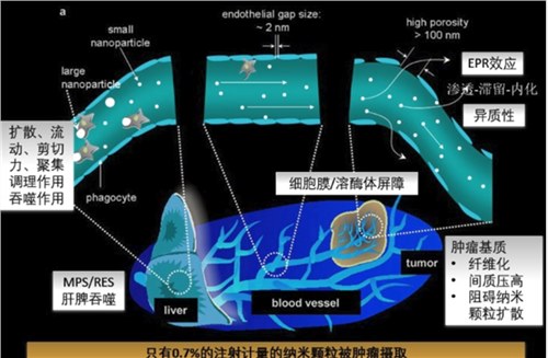 东纳八大纳米载体平台 